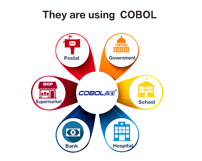 COBOL-Find Ds2600ii | Manufacture-5